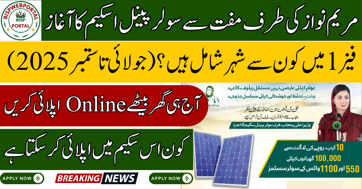 CM Punjab Solar Panel Scheme
