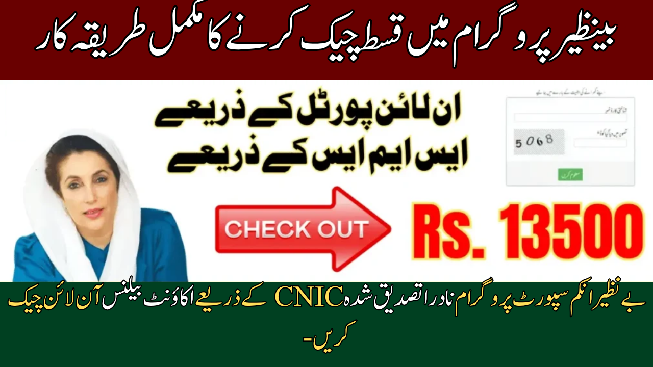 Benazir Income Support Program Check Account Balance