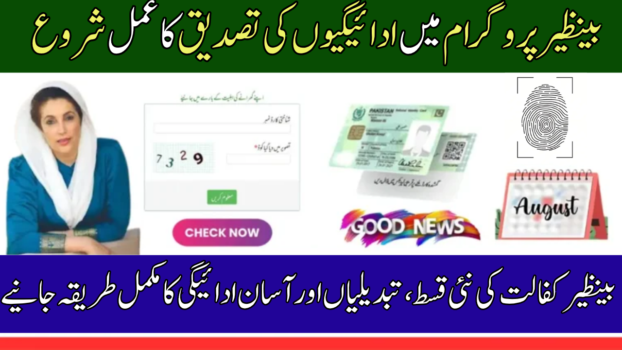 Step-by-Step BISP 8171 Verification August