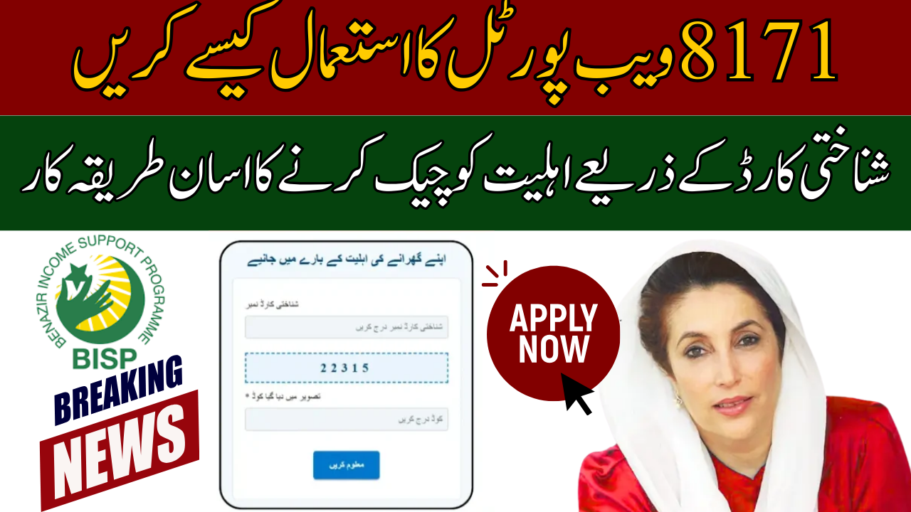 How to Use 8171 Web Portal