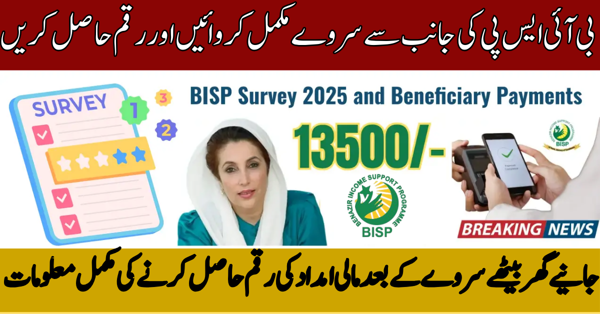 BISP Survey 2025 Beneficiary Payment