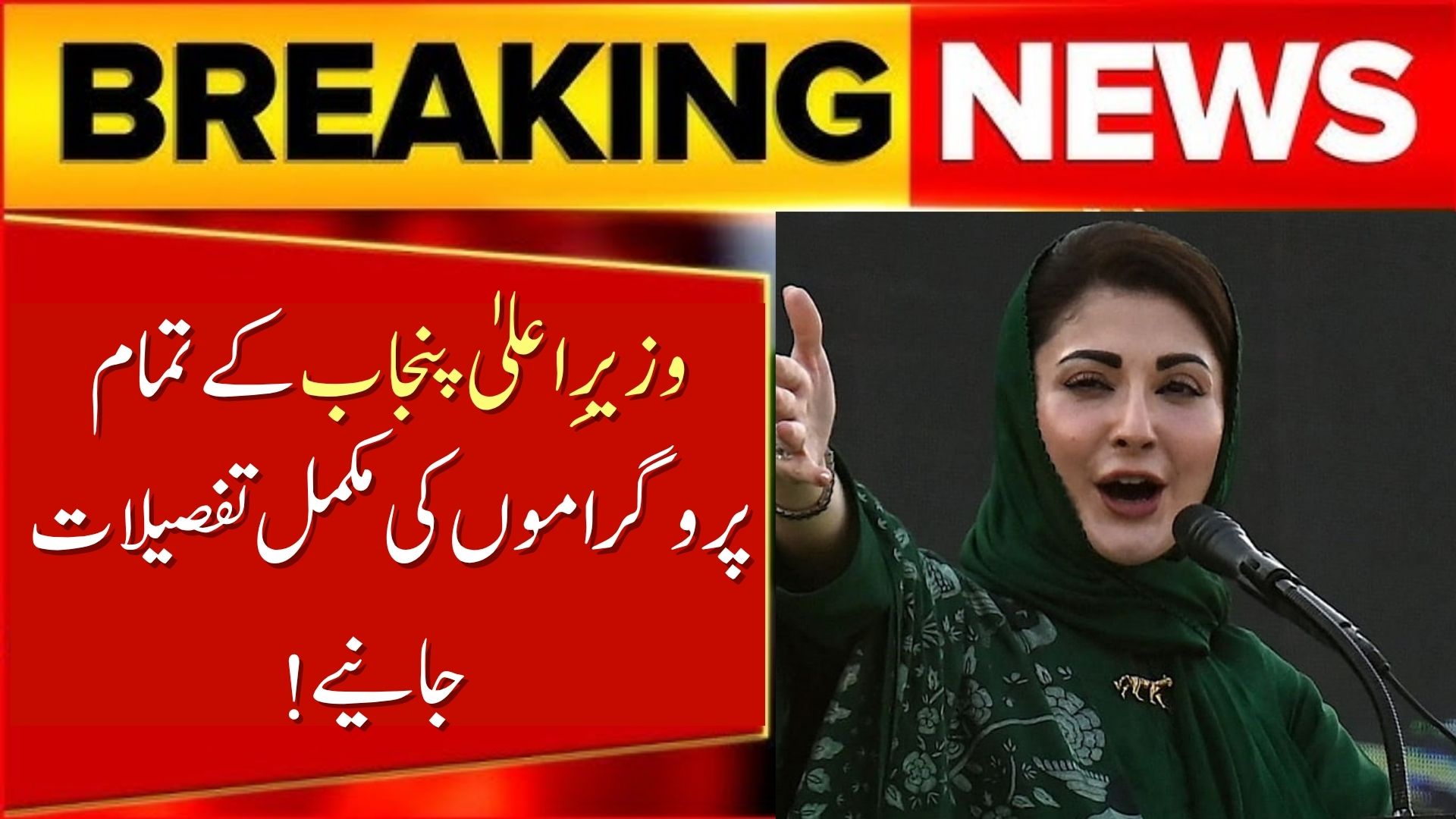 CM Punjab Schemes 2025